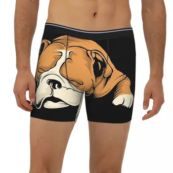 Bulldog inglês Cuecas Breathbale Calcinha Underwear Masculino Cuecas Boxer estendido cueca  2