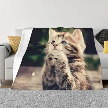 Amante do gato Cobertor de Flanela Impressa Multi-função de Leve, Fino Jogar Mantas para Sofá de Viagem Tapete Peça  10