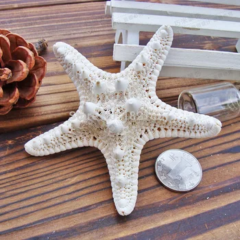 10pcs 4-7cm branco natural de Ar Seco estrela do mar estrela do mar Beach com temas de Casamento Decoração de Mesa de Festa de Natal Favores conchas do mar  5